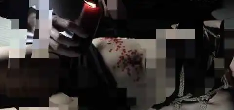 西檬之家DDLG关系详解：你在字母圈中的角色定位是什么？-西檬之家