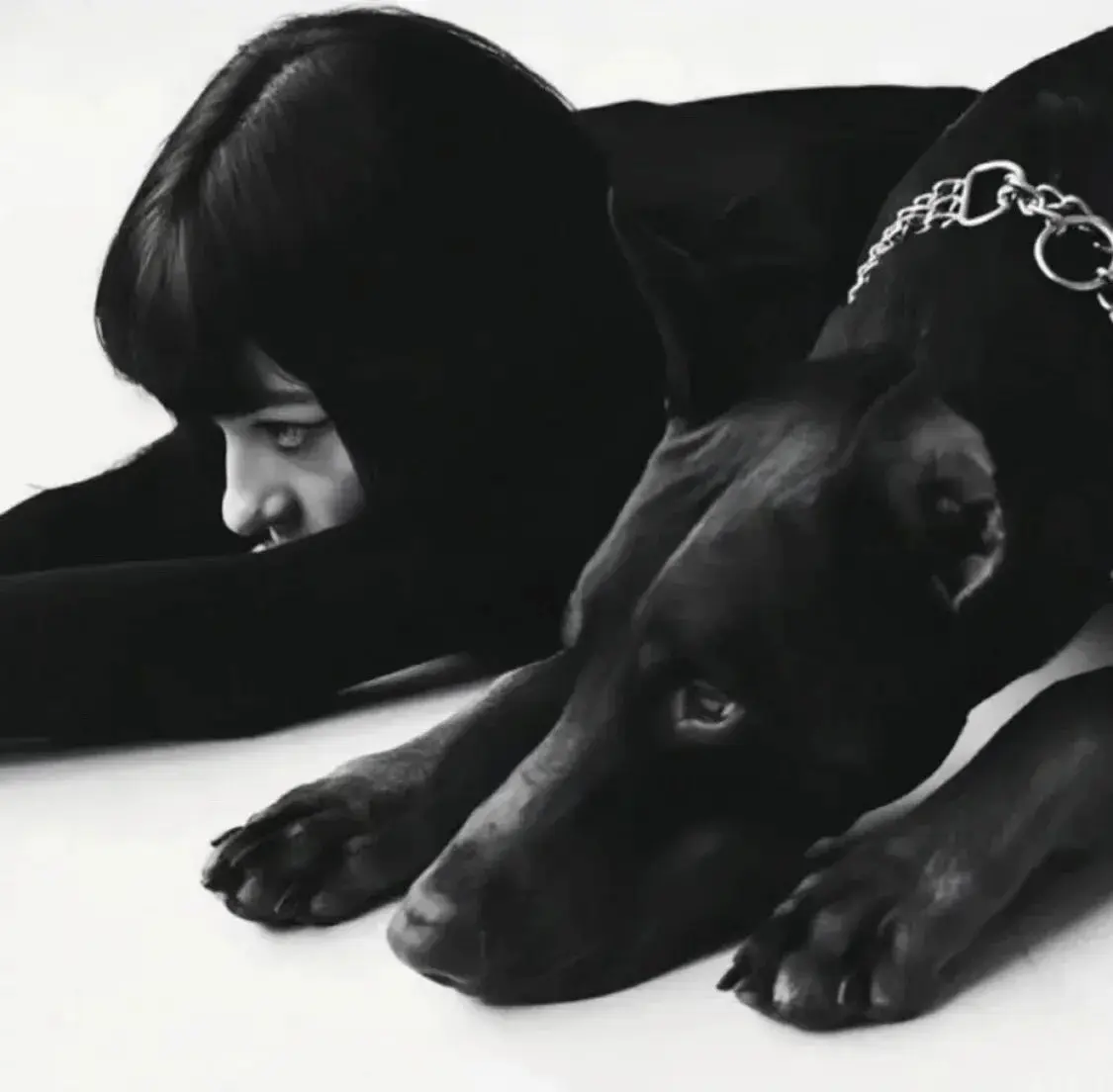 西檬之家字母圈中的施虐者如何理解“S”角色？ 一