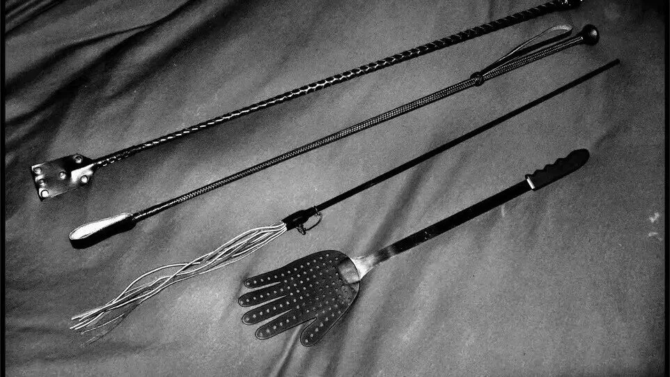 西檬之家Sub角色解析：字母圈新人必读指南 一