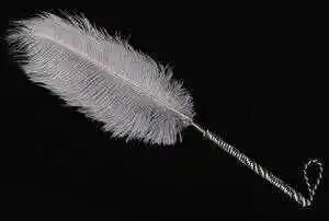 西檬之家RACK原则是什么？字母圈新人必知的安全实践指南-西檬之家