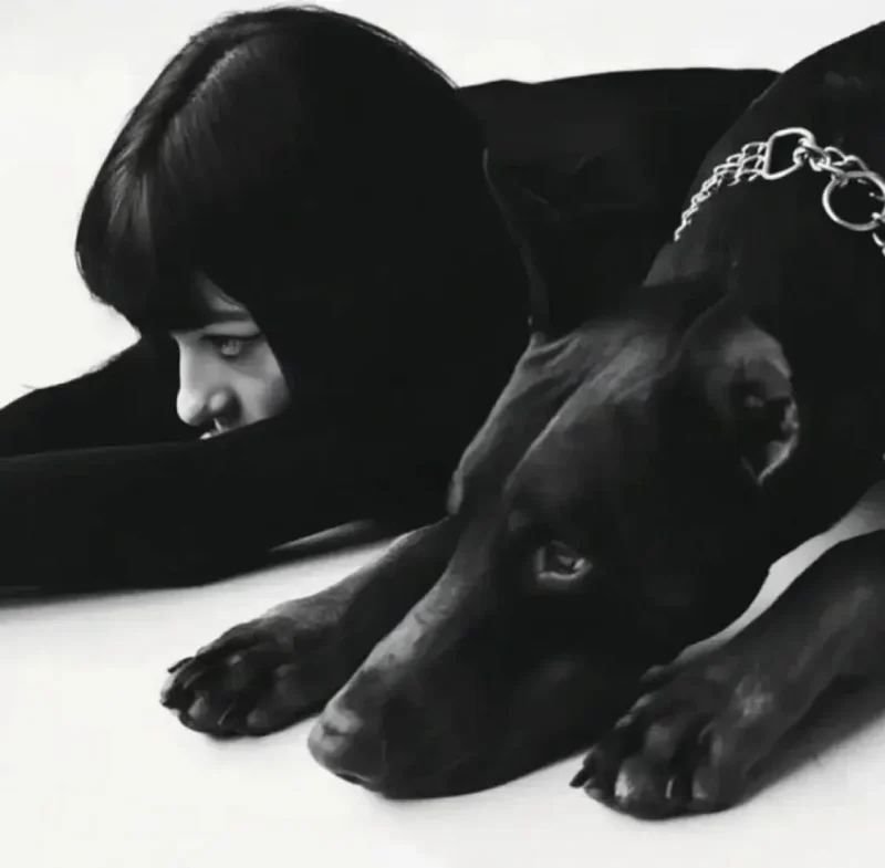 西檬之家BDSM入门指南：如何安全探索字母圈的奥秘？-西檬之家