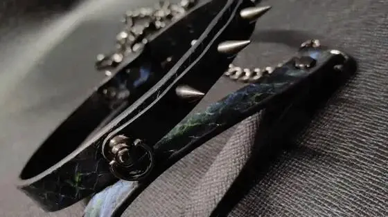 西檬之家关于SSC三原则的字母圈安全指南-西檬之家