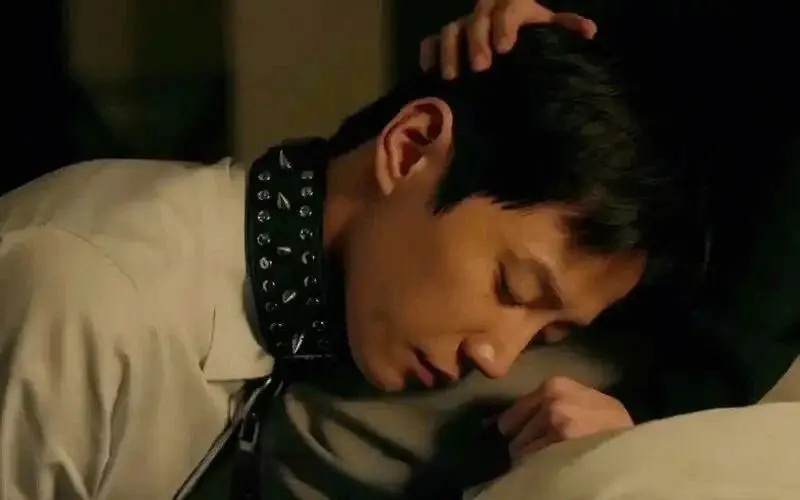 西檬之家BDSM是什么？-西檬之家