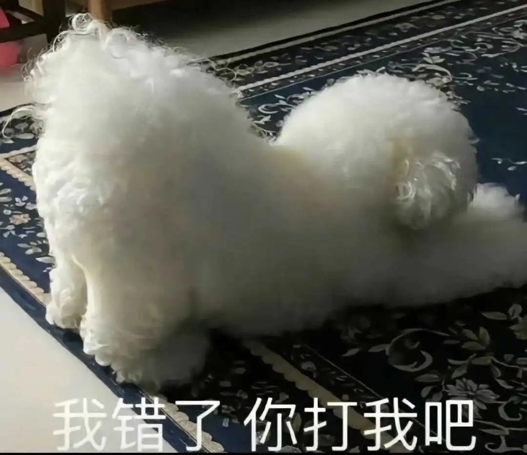 西檬之家SM是什么？字母圈新人入门指南 一