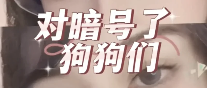 西檬之家SSC三原则是什么？字母圈安全底线-西檬之家