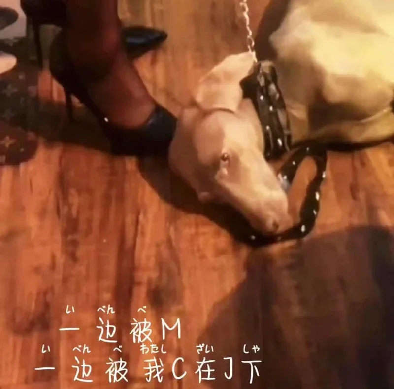 西檬之家SSC三原则详解-西檬之家