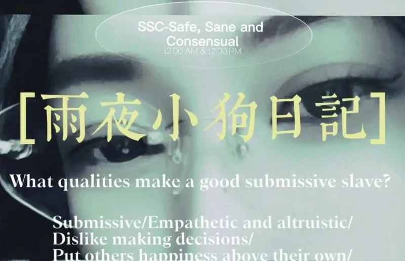 西檬之家Maso是什么意思？-西檬之家